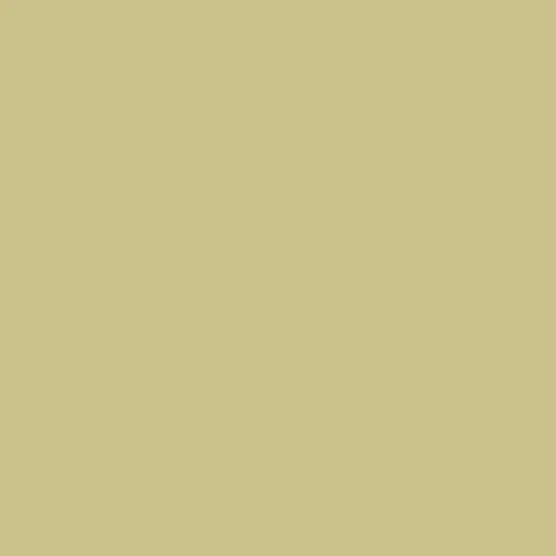 RAL 1000 Green Beige