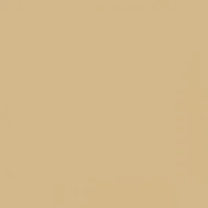 RAL 1001 Beige — 400 ml