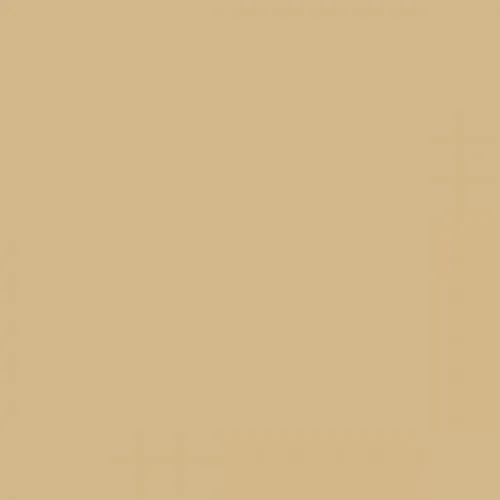 RAL 1001 Beige