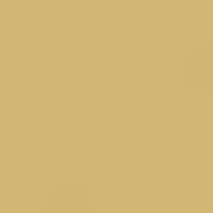 RAL 1002 Sand Yellow — 400 ml