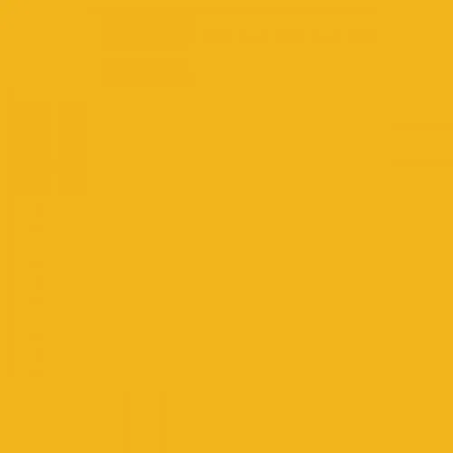 RAL 1003 Signal Yellow