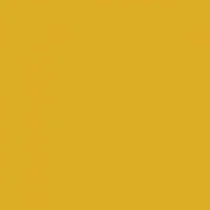 RAL 1004 Golden Yellow — 400 ml