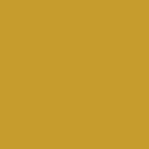 RAL 1005 Honey Yellow — 400 ml