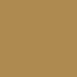 RAL 1011 Brown Beige — 400 ml