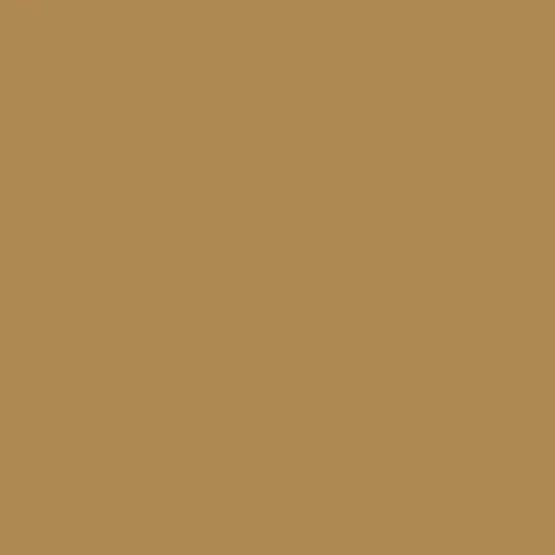 RAL 1011 Brown Beige