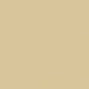 RAL 1014 Ivory — 400 ml