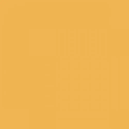 RAL 1017 Saffron Yellow