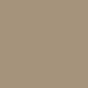 RAL 1019 Grey Beige — 400 ml