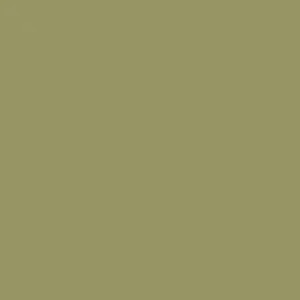 RAL 1020 Olive Yellow — 400 ml