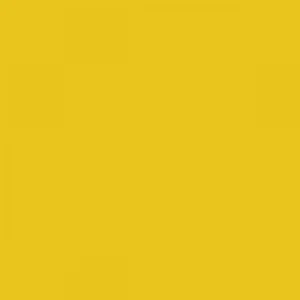 RAL 1021 Rape Yellow — 400 ml