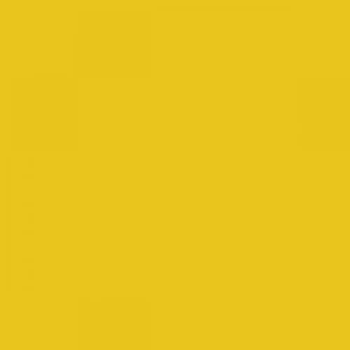 RAL 1021 Rape Yellow