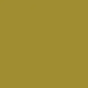 RAL 1027 Curry — 400 ml