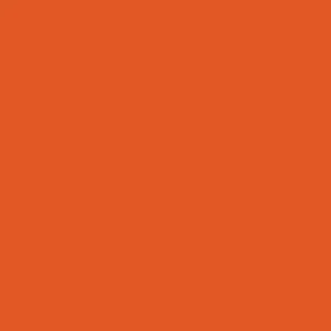 RAL 2009 Traffic Orange — 400 ml