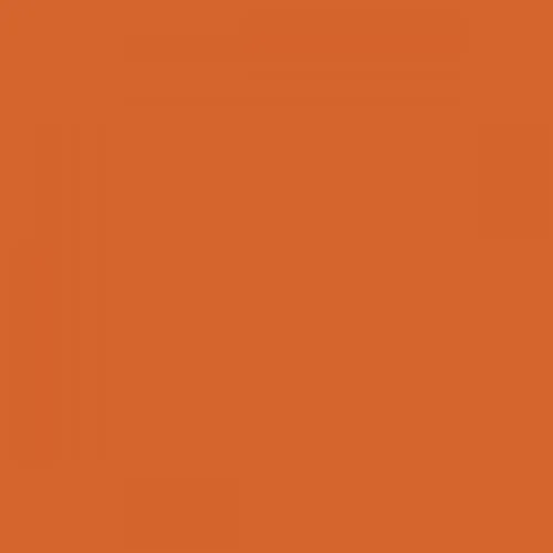 RAL 2010 Signal Orange