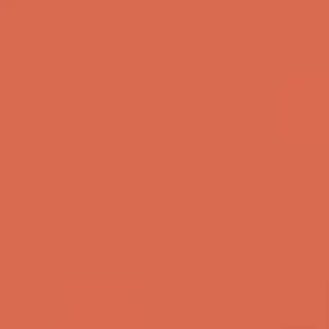 RAL 2012 Salmon Orange — 400 ml