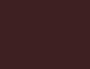 RAL 3007 Black Red — 400 ml