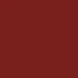 RAL 3011 Brown Red — 400 ml