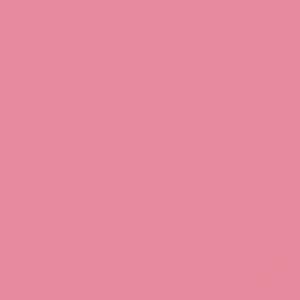 RAL 3015 Light Pink — 400 ml