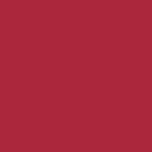 RAL 3027 Raspberry Red 1 — 400 ml