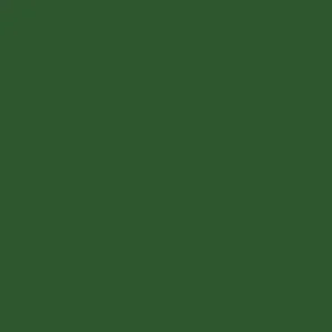 RAL 6002 Leaf Green — 400 ml