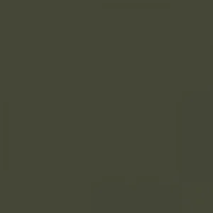 RAL 6003 Olive Green — 400 ml