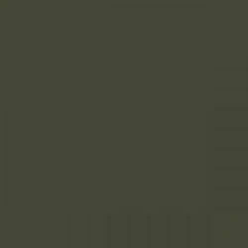RAL 6003 Olive Green
