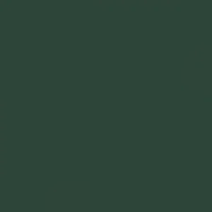 RAL 6005 Moss Green — 400 ml