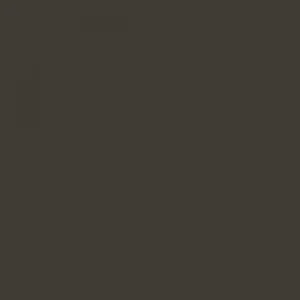 RAL 6006 Grey Olive — 400 ml
