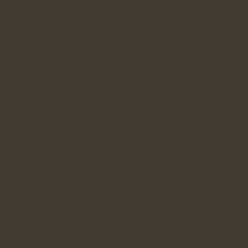 RAL 6006 Grey Olive