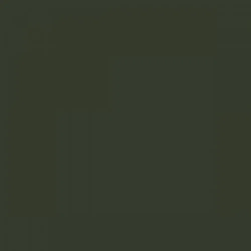RAL 6007 Bottle Green