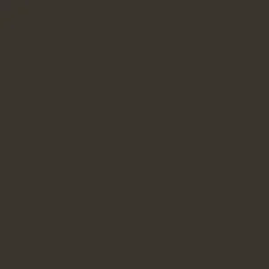 RAL 6008 Brown Green — 400 ml