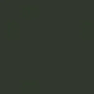 RAL 6009 Fir Green — 400 ml