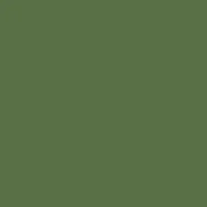 RAL 6011 Reseda Green — 400 ml