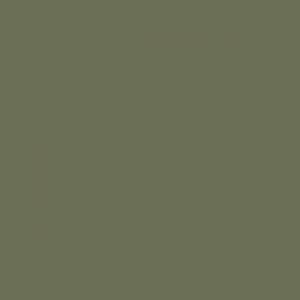 RAL 6013 Reed Green — 400 ml