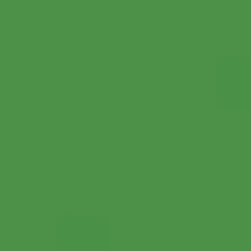 RAL 6017 May Green