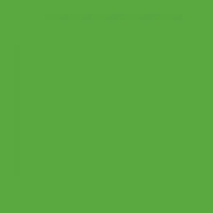 RAL 6018 Yellow Green — 400 ml