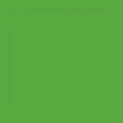 RAL 6018 Yellow Green