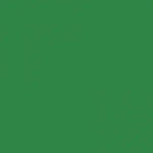 RAL 6024 Traffic Green — 400 ml
