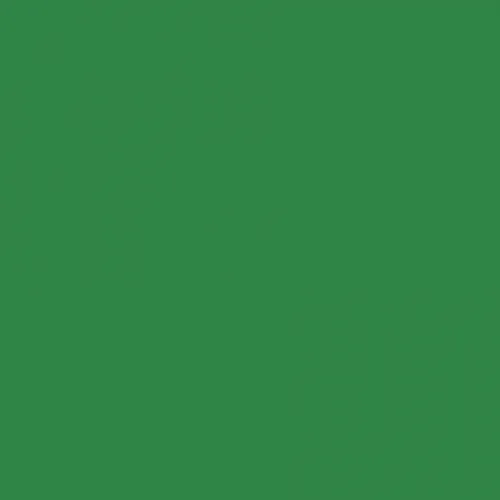 RAL 6024 Traffic Green