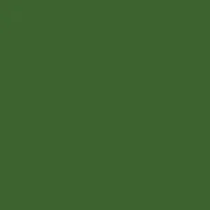 RAL 6025 Fern Green — 400 ml