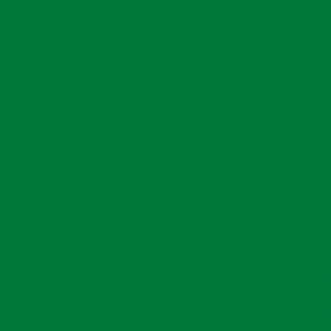 RAL 6029 Mint Green — 400 ml