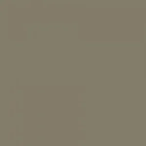 RAL 7002 Olive Grey — 400 ml