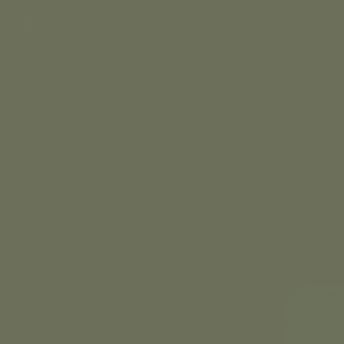 RAL 7003 Moss Grey