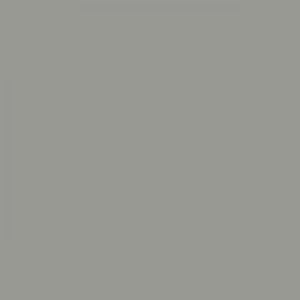 RAL 7004 Signal Grey — 400 ml
