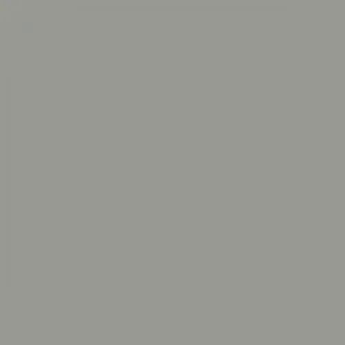 RAL 7004 Signal Grey