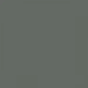 RAL 7005 Mouse Grey — 400 ml