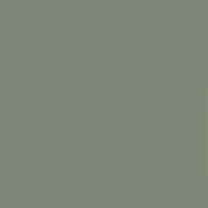 RAL 7033 Cement Grey — 400 ml