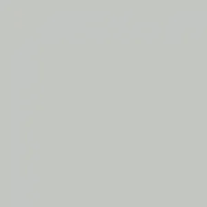 RAL 7035 Light Grey — 400 ml