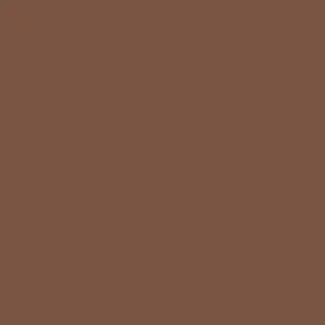 RAL 8002 Signal Brown — 400 ml
