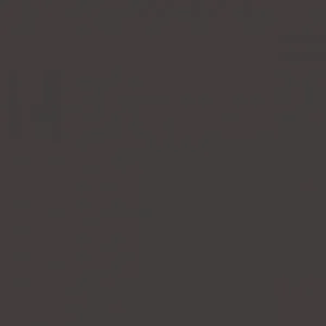 RAL 8019 Grey Brown — 400 ml